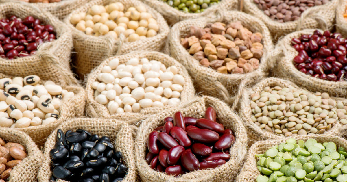 Kitchen - practical.  What foods should you choose to find plant-based protein?